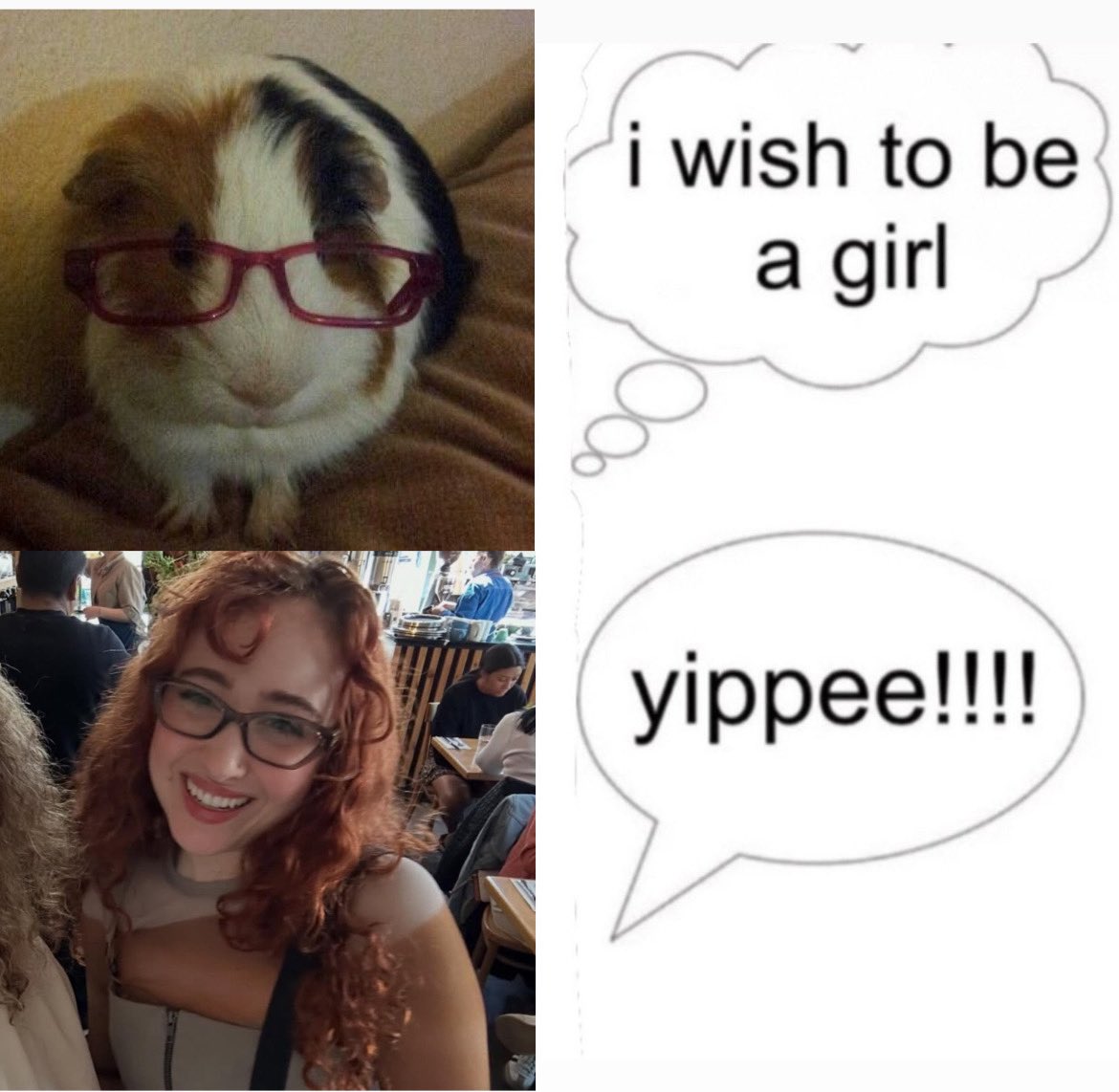 gigi | viu a chappell da grade tweet media