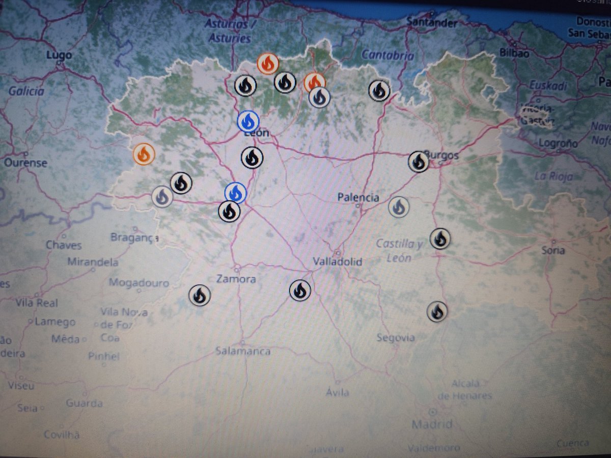 Infues Avila tweet media