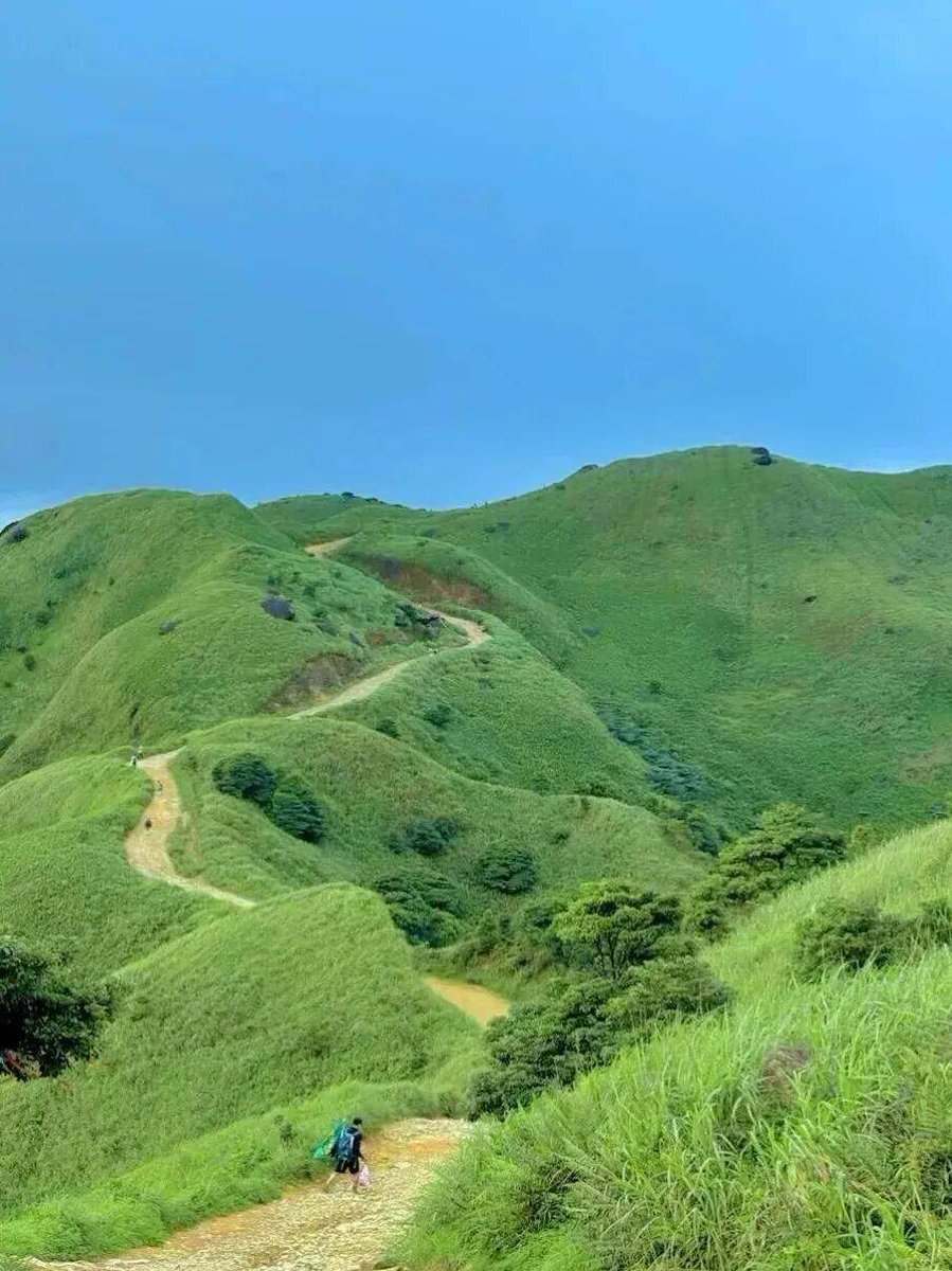 van wanrooij hubert tweet media