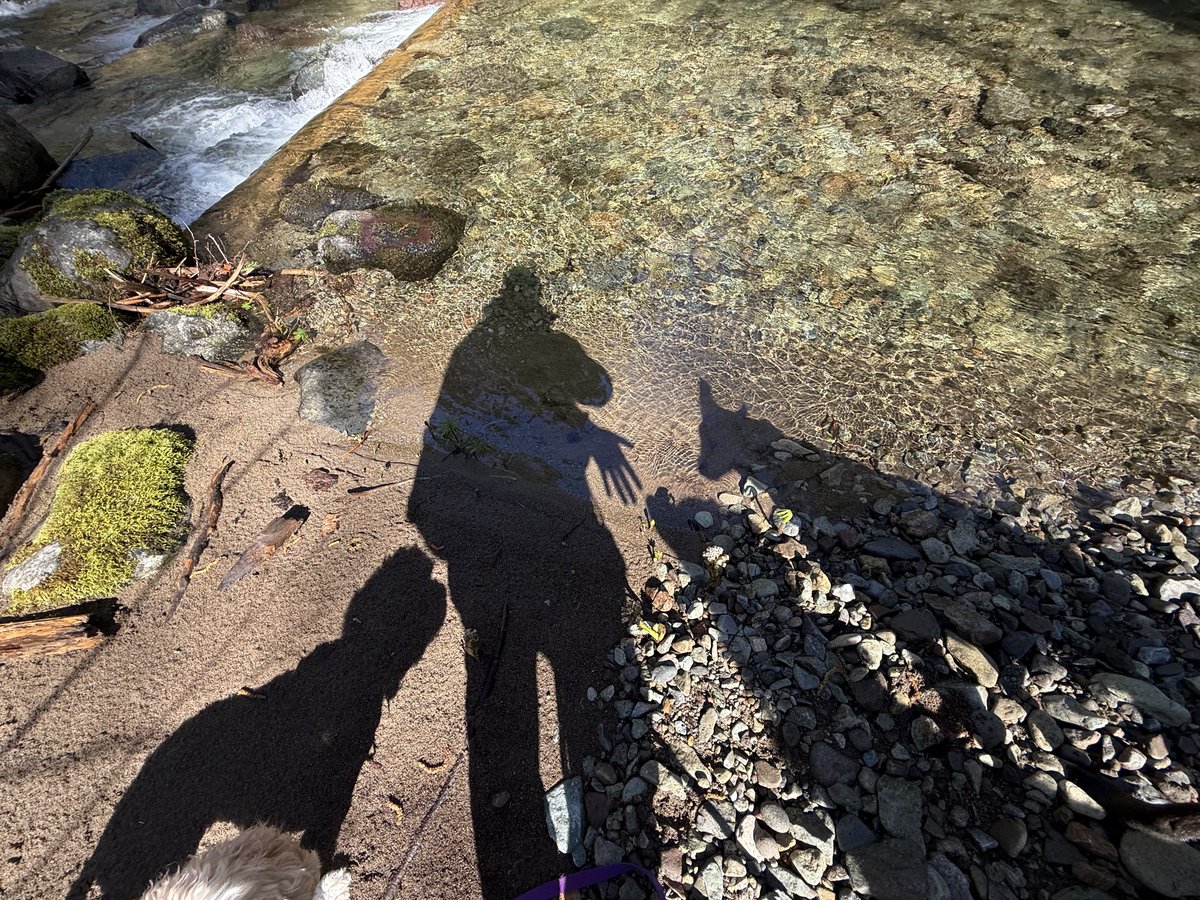 Andy Cliff Moss ٨ﮩﮩ٨ﮩﮩ٨٨ﮩﮩ٨ﮩﮩ٨ tweet media