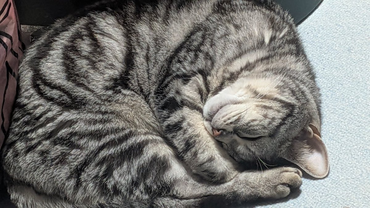 lovesemps tweet media