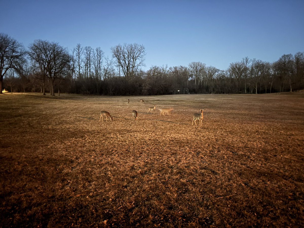 sillyguy83 tweet media