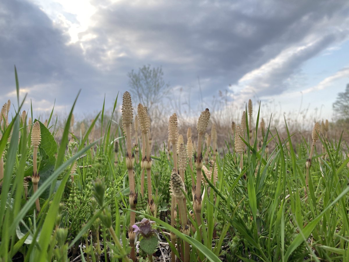 槙野明/Makisong tweet media