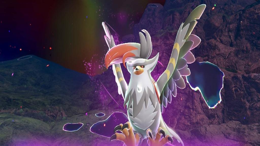 Nicko Stall tweet media