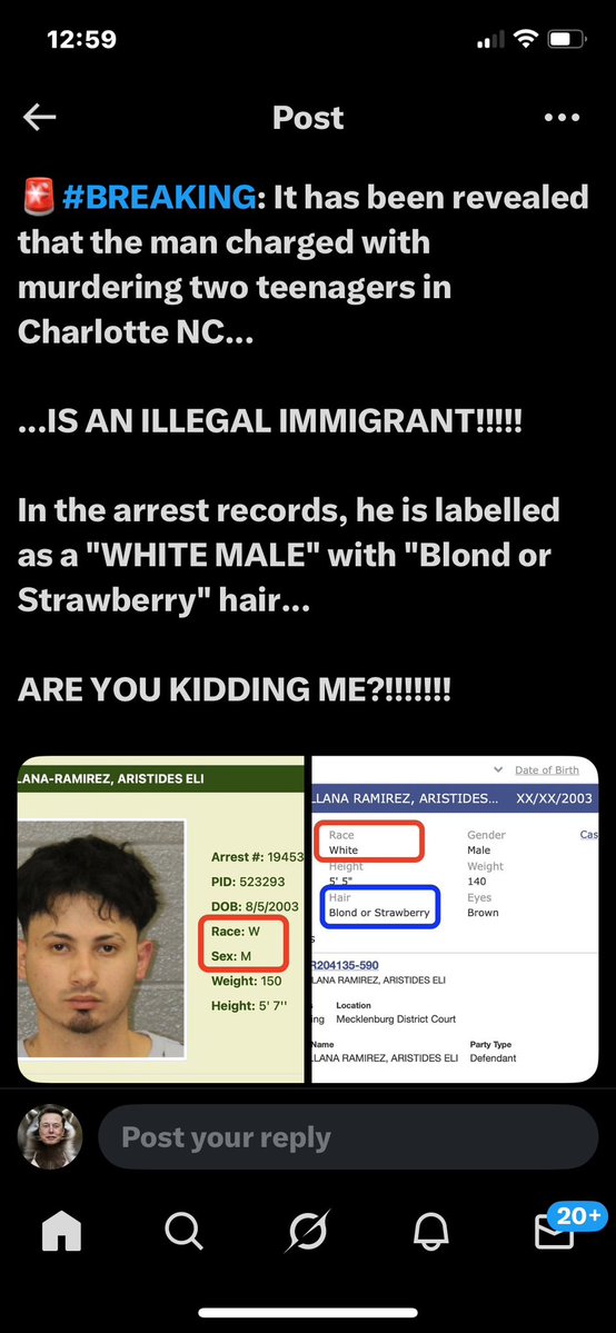 GingerchoCap 🦝💨🏴 tweet media