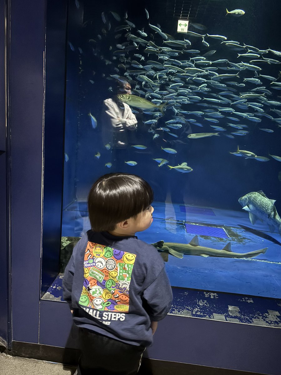 くみ@スナフキンに憧れる主婦 tweet media