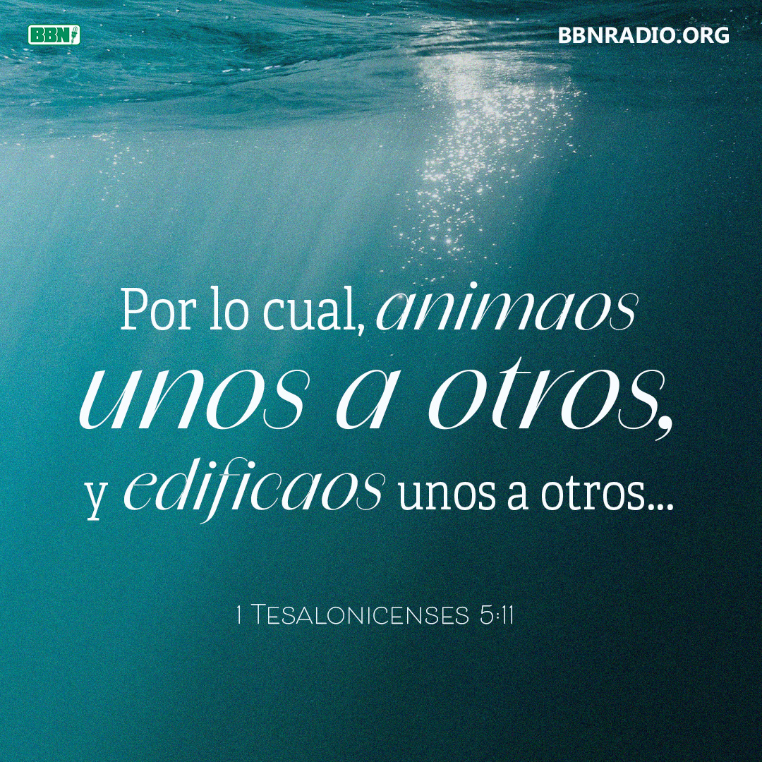 BBNEspañol tweet media