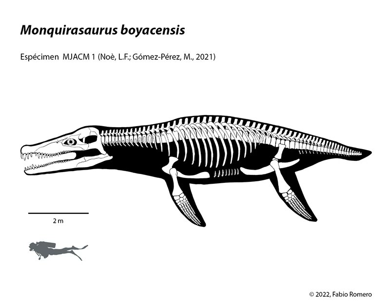 Uri Wolkowski 🦕🐧🕊️ tweet media