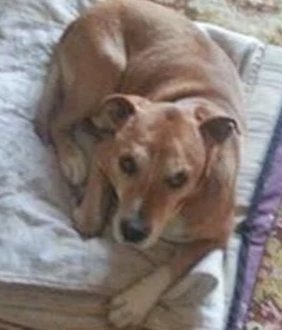 Hispano 🇪🇸 tweet media