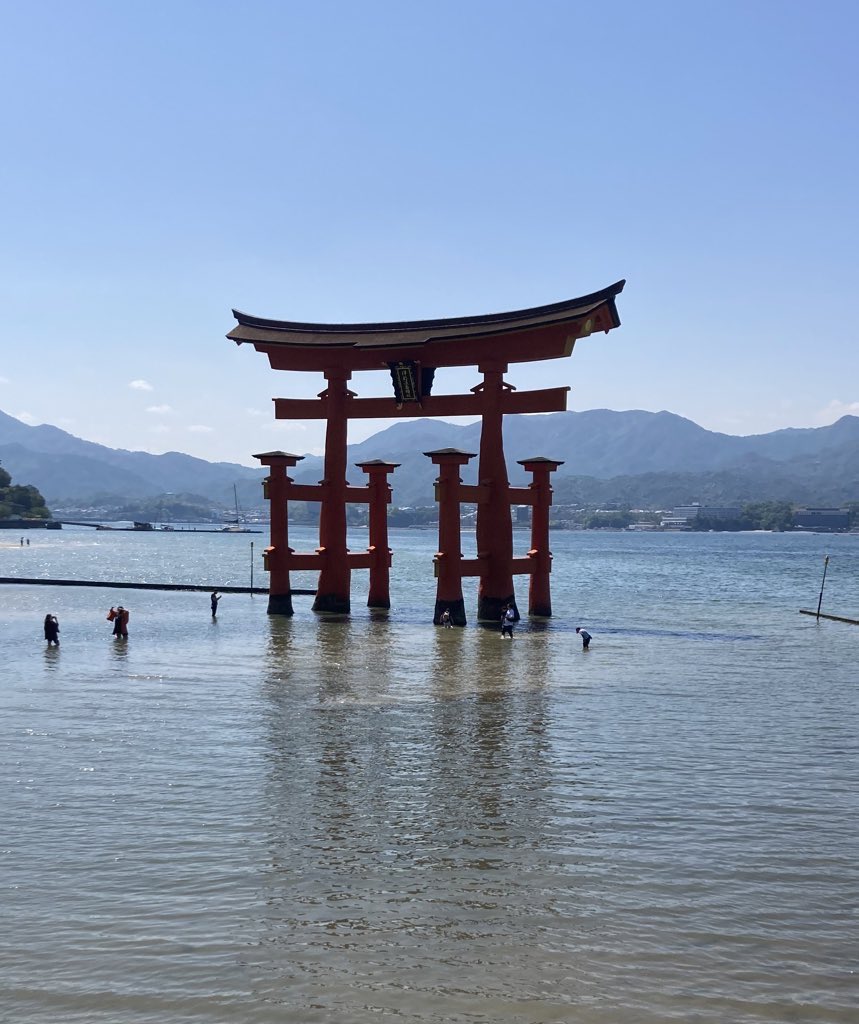 errordoco tweet media