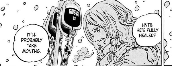 gryphon🎱 tweet media