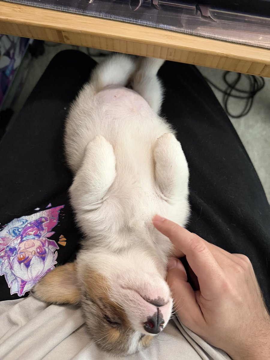 CyYuVtuber 3.0: Tech Support Arc tweet media