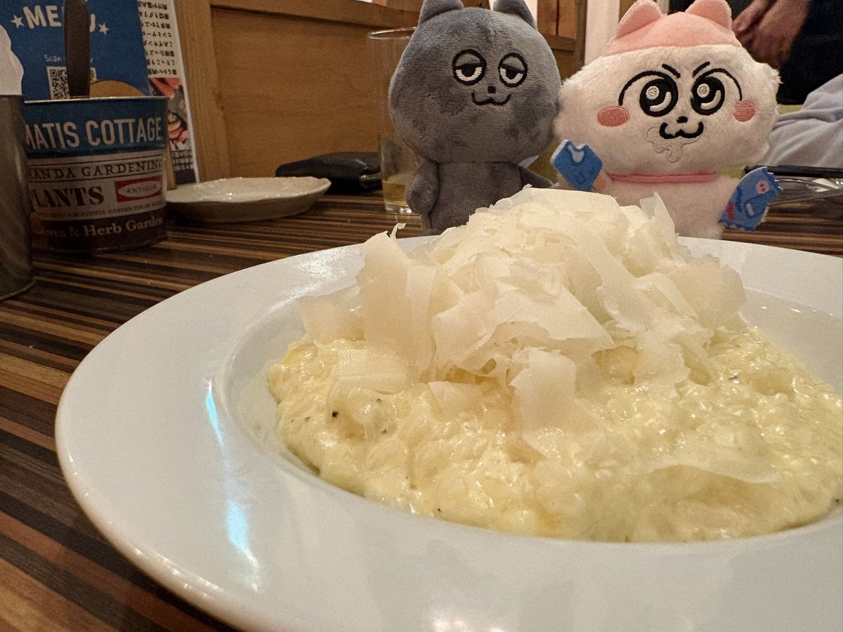 昨日はずっと気になってたバルに行ってきました🧀🍝🍕
よだれ垂れてるからピッタリ！と思ってこの子を選んだけど終始アイスが映っちゃって変な組み合わせで食べたいンめみたいになった😂
#今日のンめねこ飯 
#ンめログ