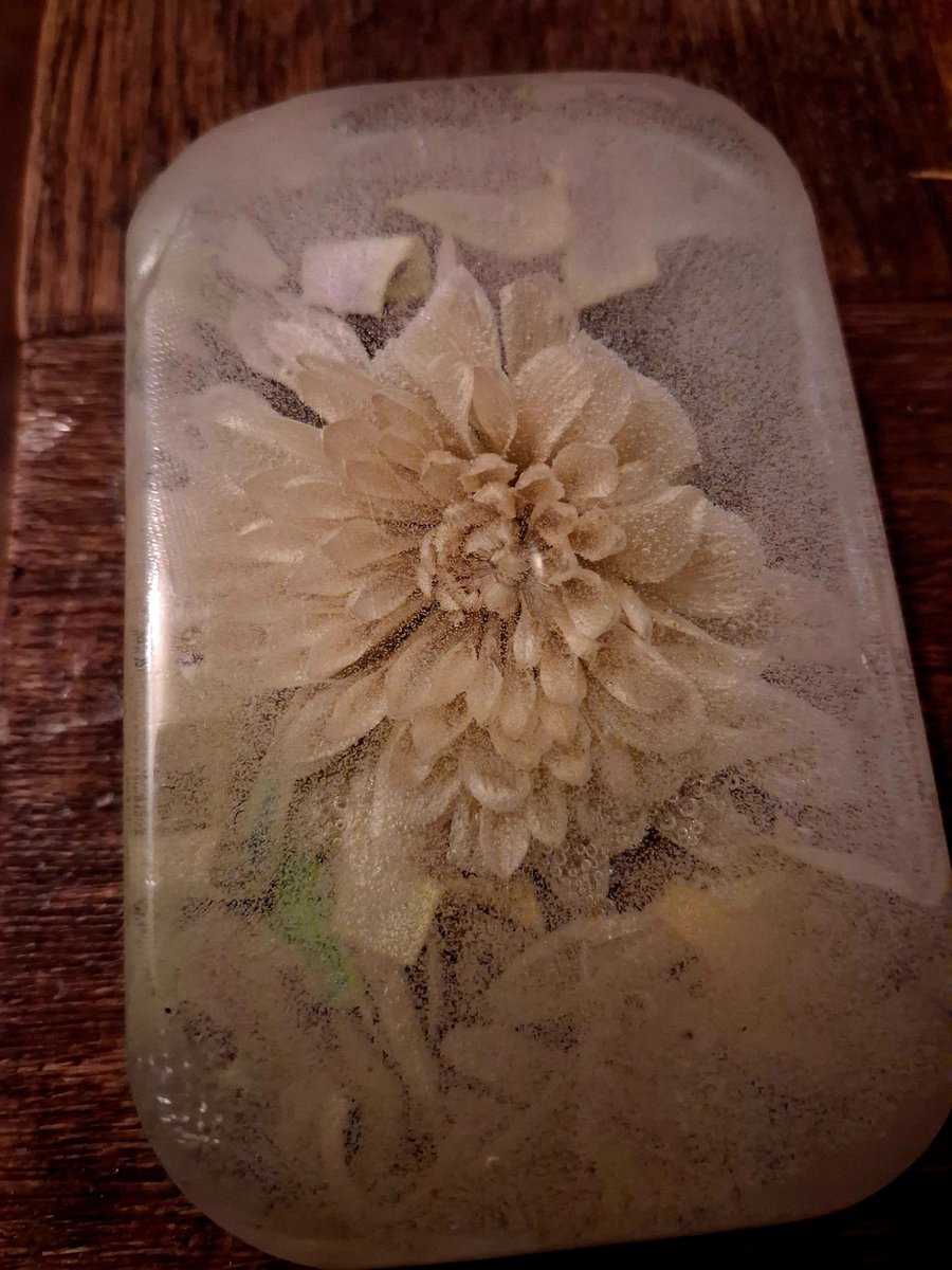 🇮🇪TherhythmicWolf tweet media