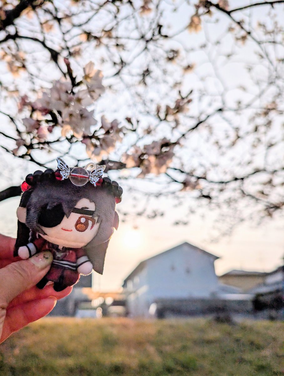 晴さん(<a href="/Haru_svsss9/">晴</a>)のブレスレットを城主に被せてみたww家の前の桜が咲き始めたので1枚😆今日を逃すと明日からお天気が悪くなるから今のうちに記念撮影🤣今日は土曜日勤務😅これから仕事に行ってきます😁
みなさん、良い週末を💕