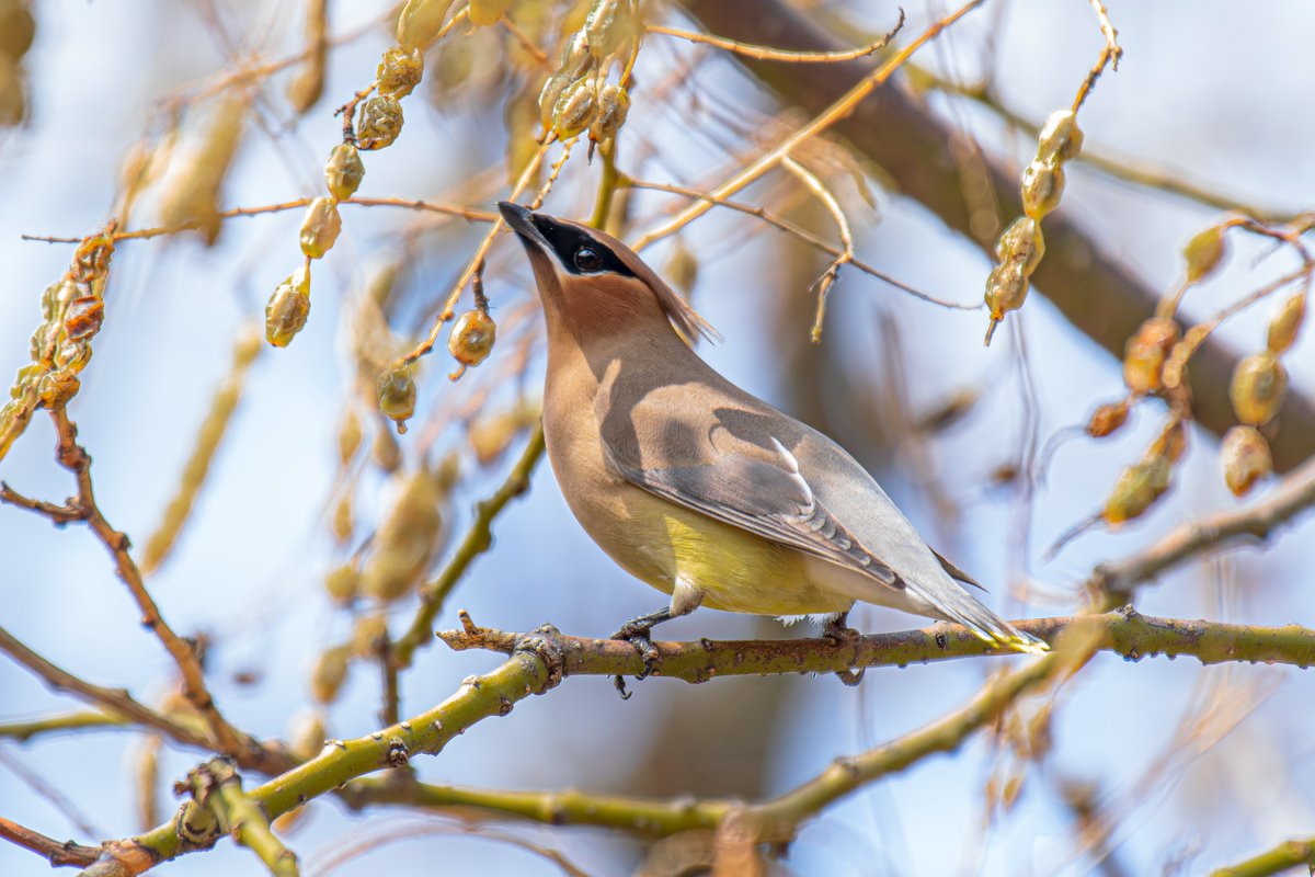 William Murray tweet media