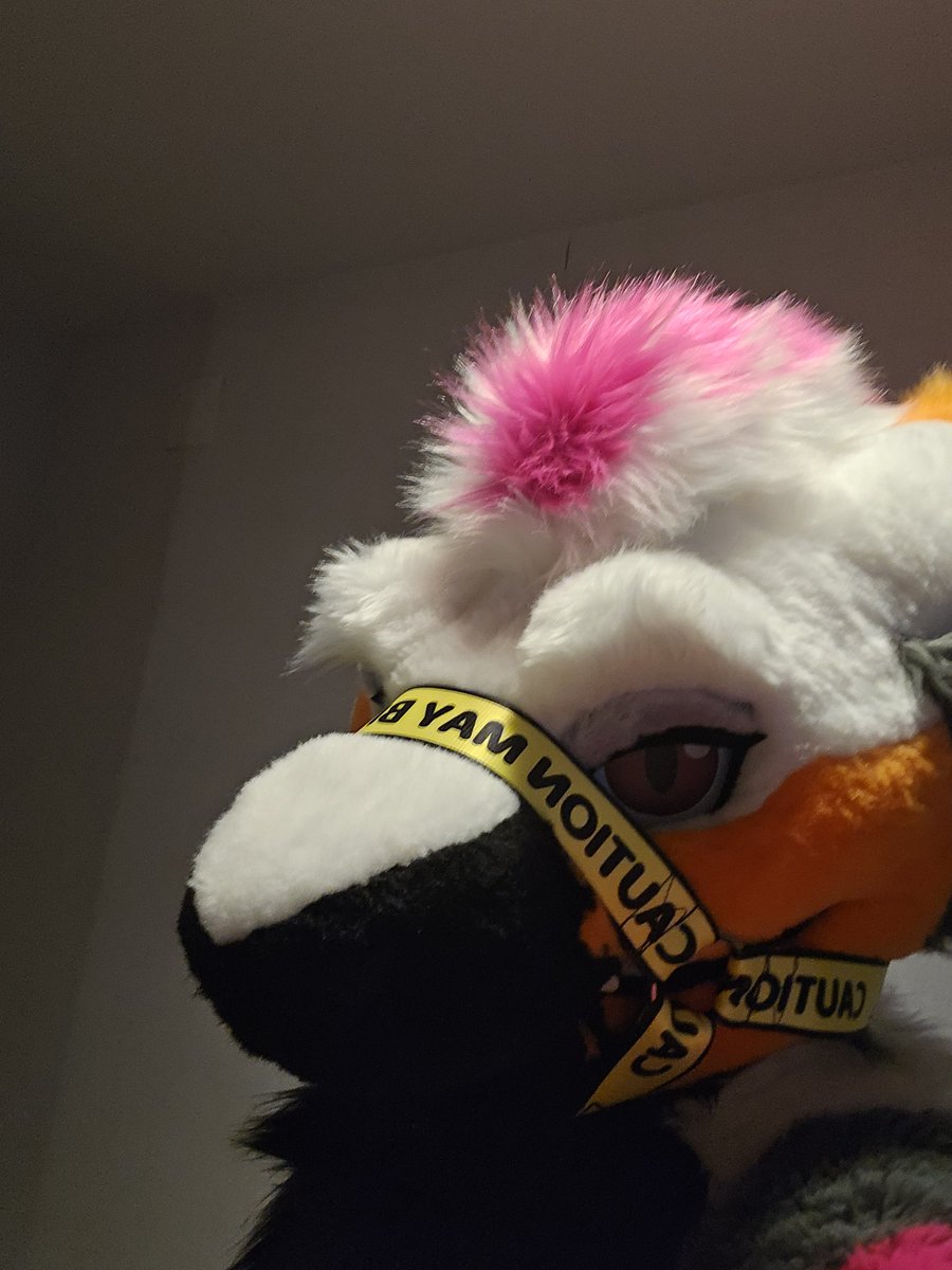 Disappointing my parents one merp at a time tweet media