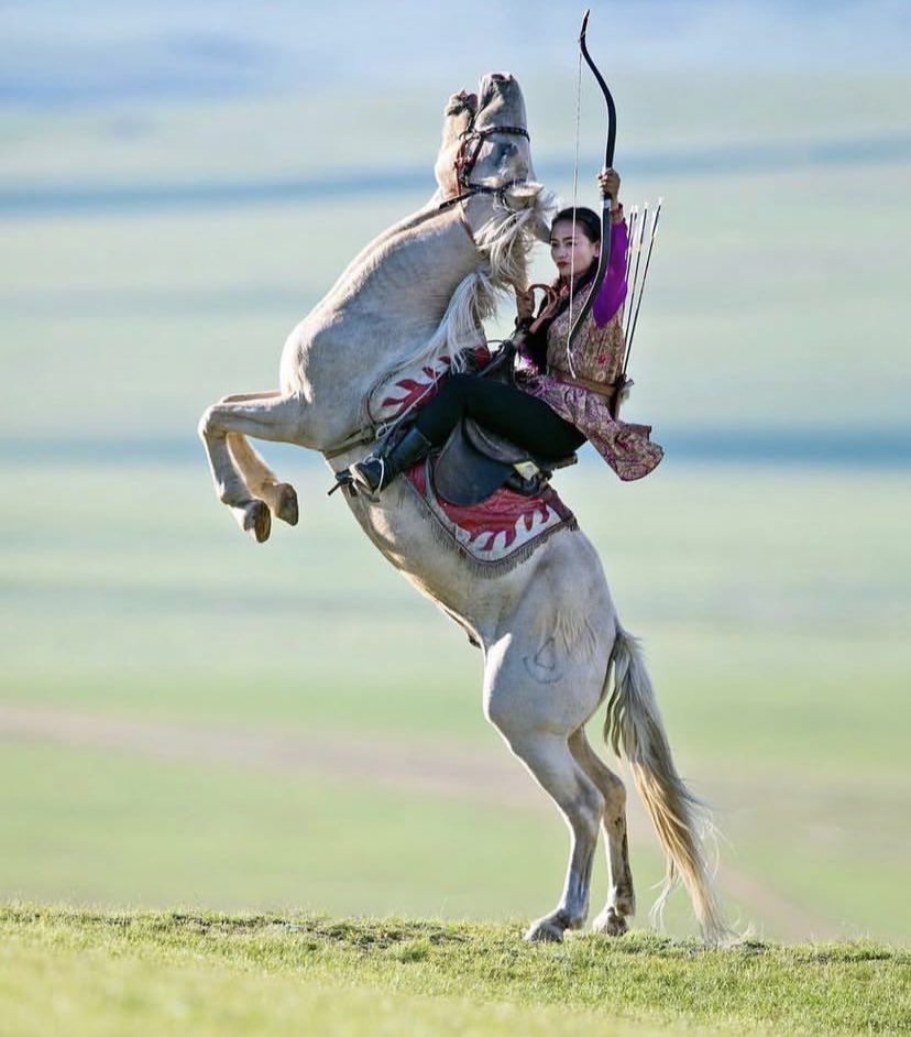 Explorer Of Moments tweet media