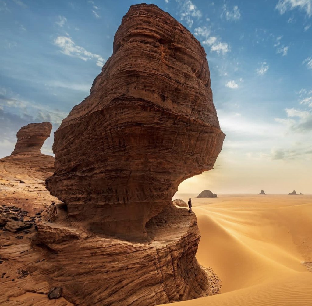 Maréchal gargass tweet media