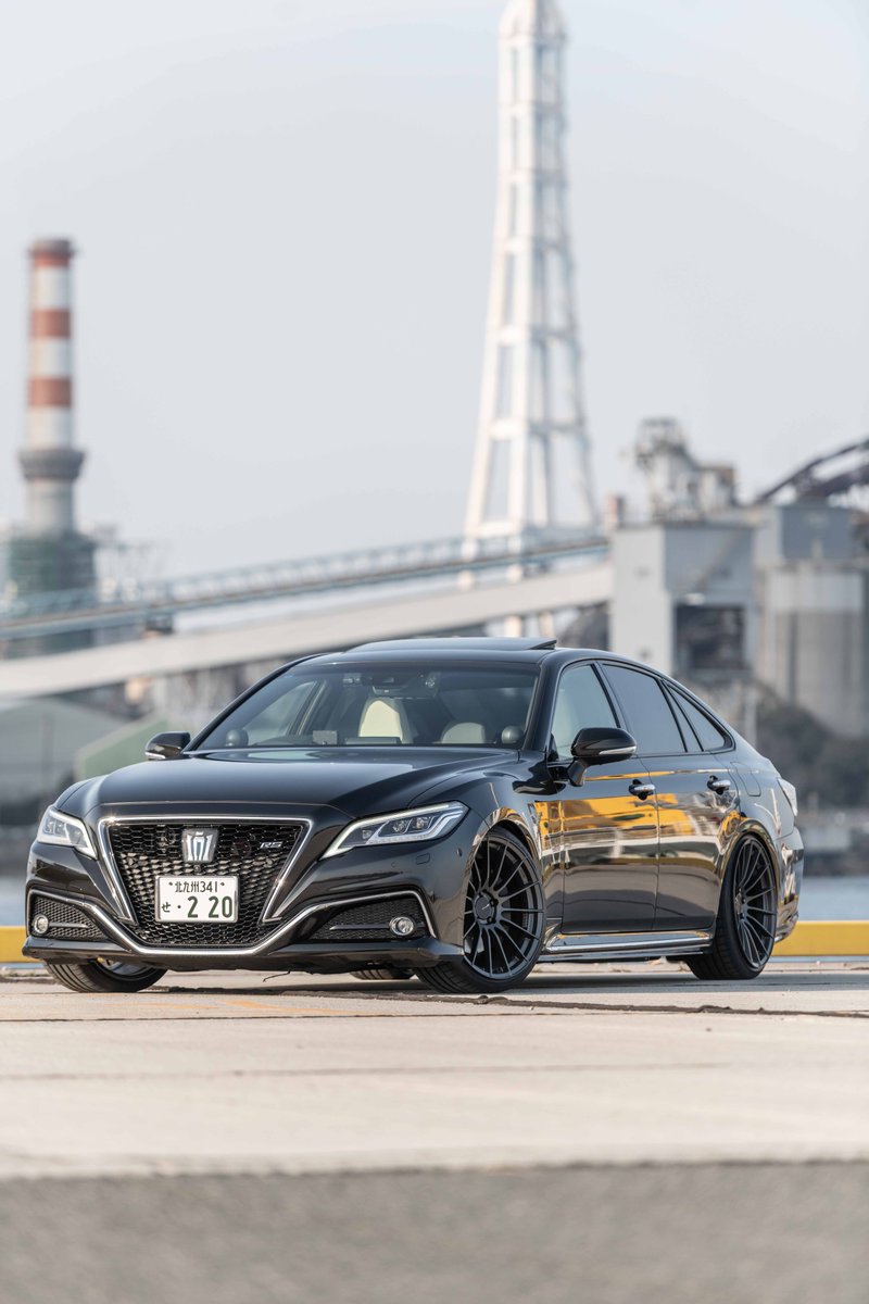 ペケニキ tweet media