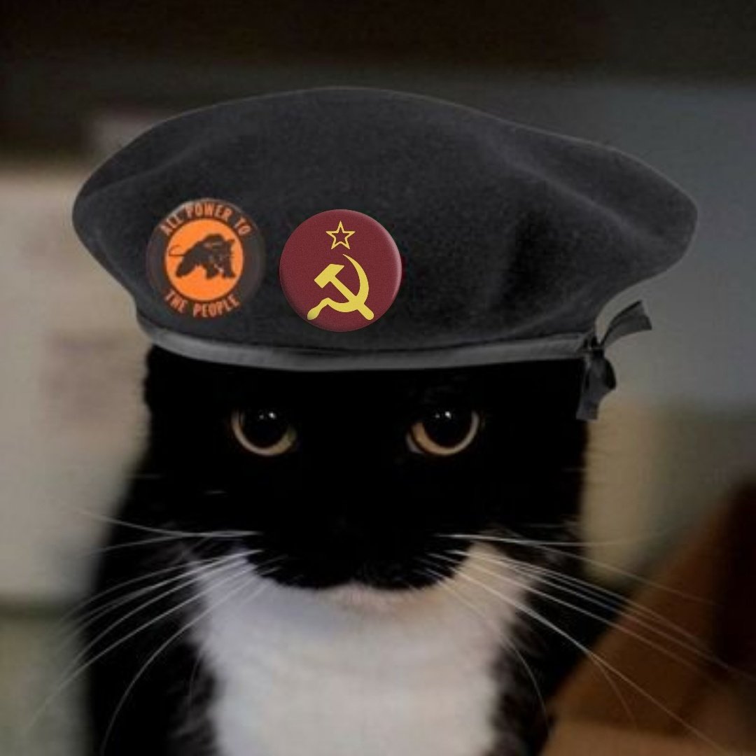 ky 🇵🇸 tweet media