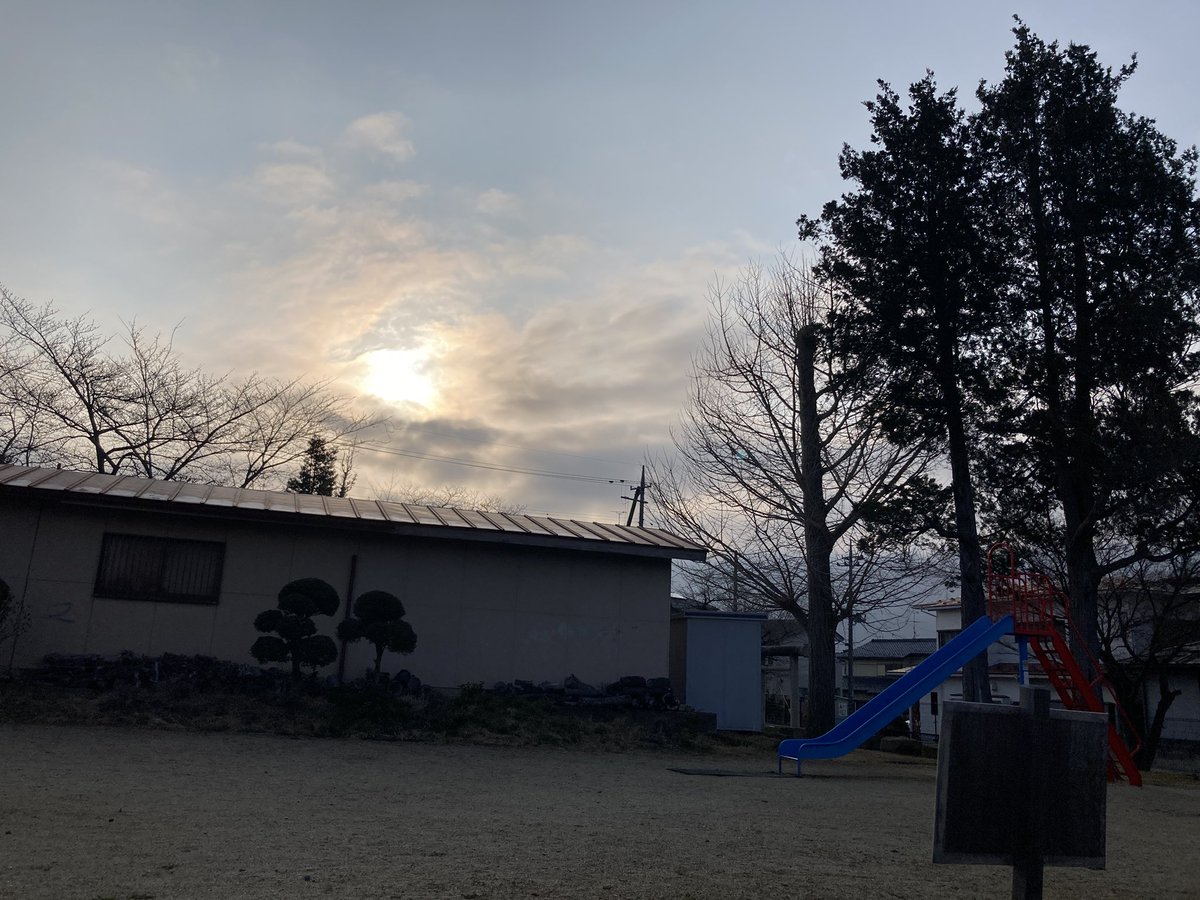 ひろ&猫ズ tweet media