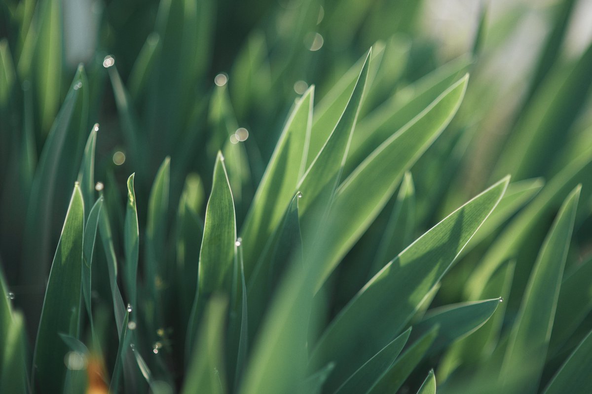 むきかめ tweet media