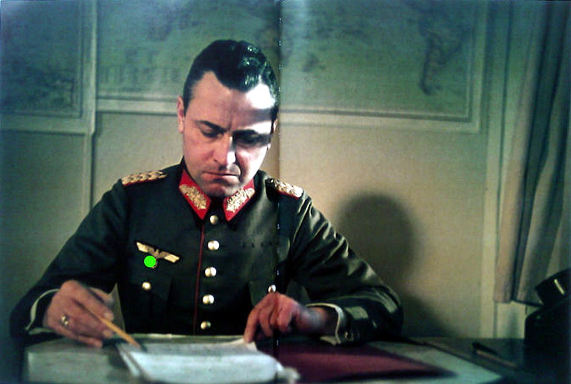 Вучко Курјачки tweet media