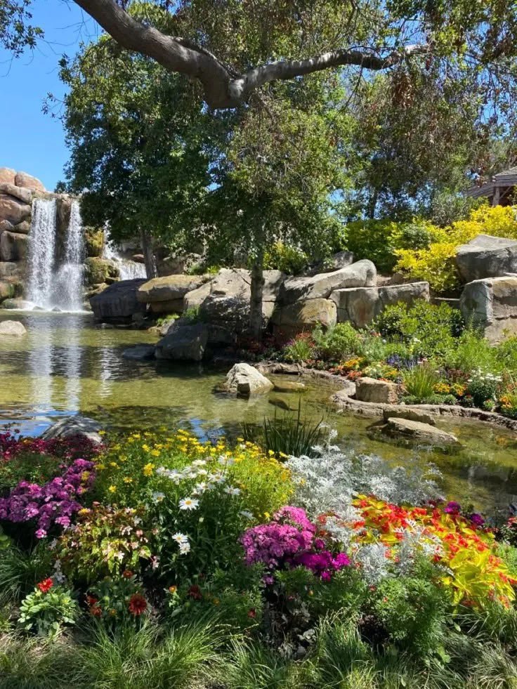 𝑝𝑢𝑟𝑒 tweet media