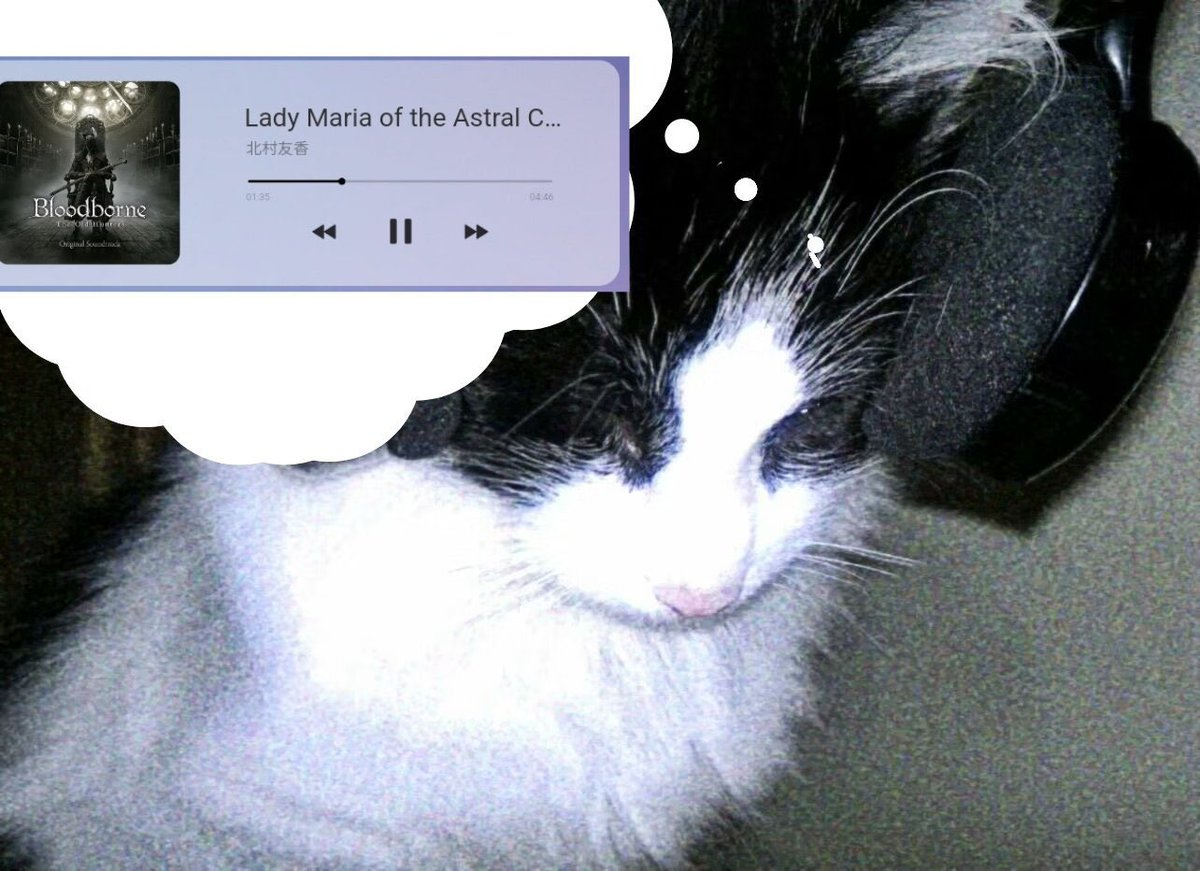 The idiot with the painted face tweet media