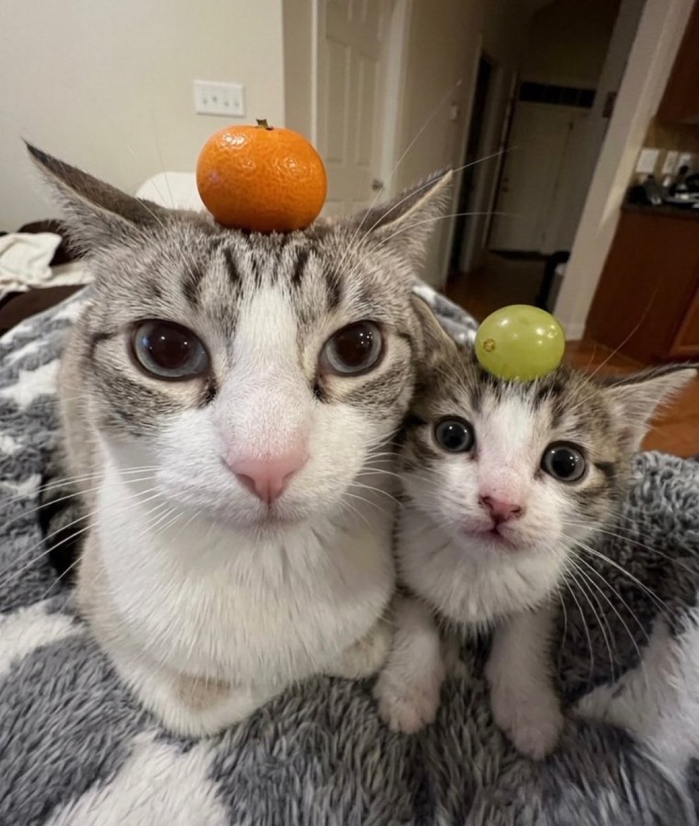 Antidepressant Content tweet media