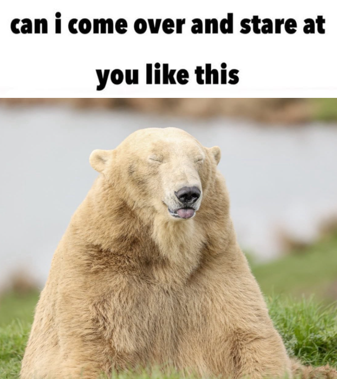 BearyDales's tweet photo. https://t.co/hpcUd8lDu8