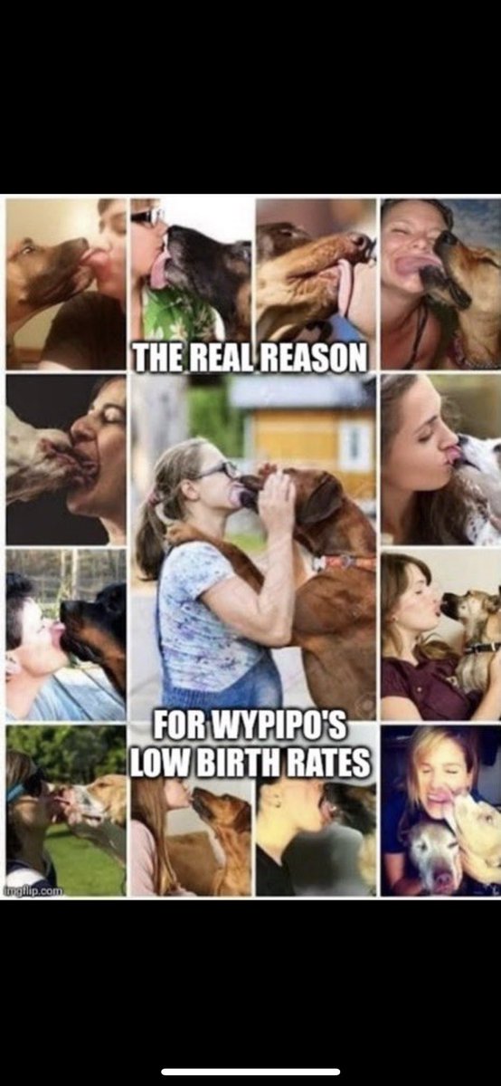 Hittman brown tweet media