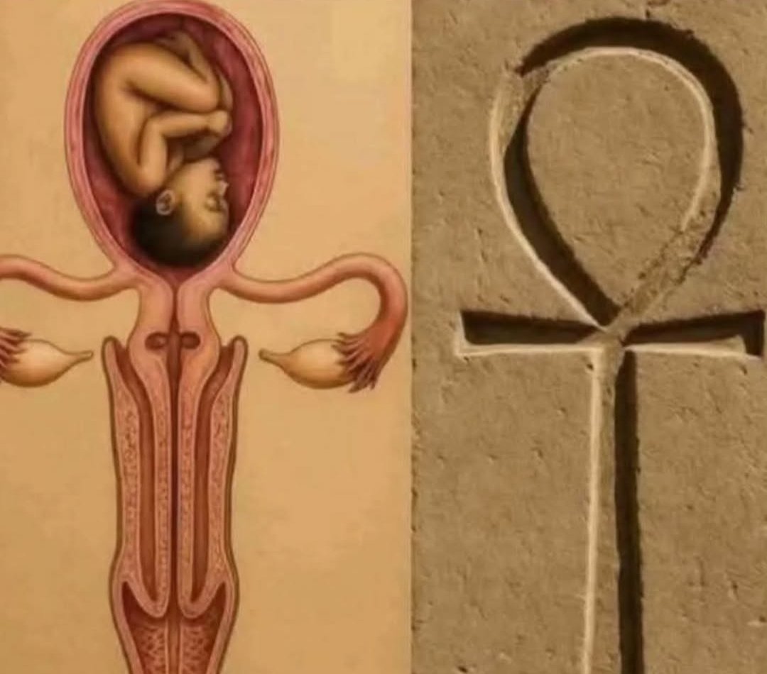 Porsa (KaoS) tweet media