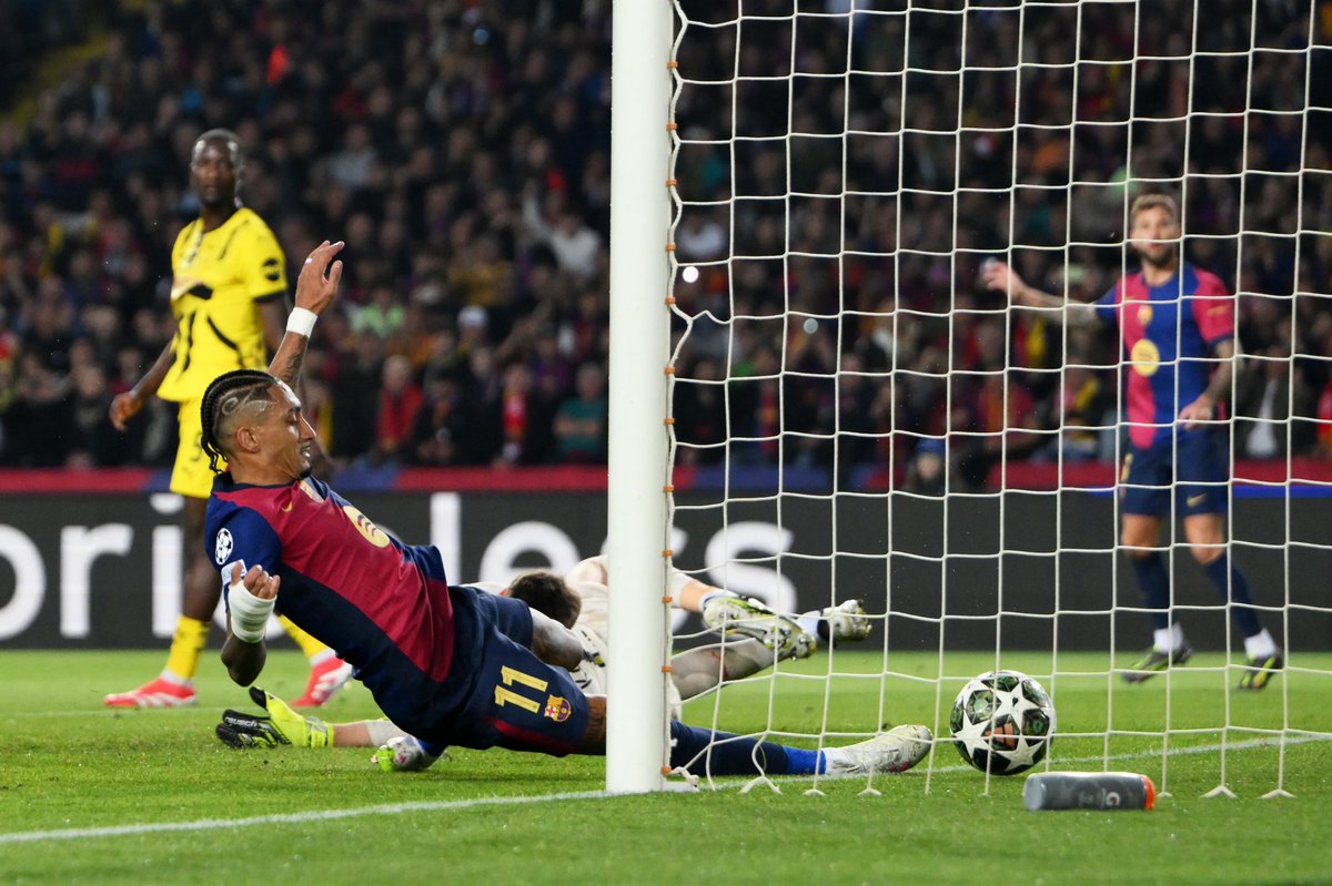 Adrià Luria 🐢 tweet media