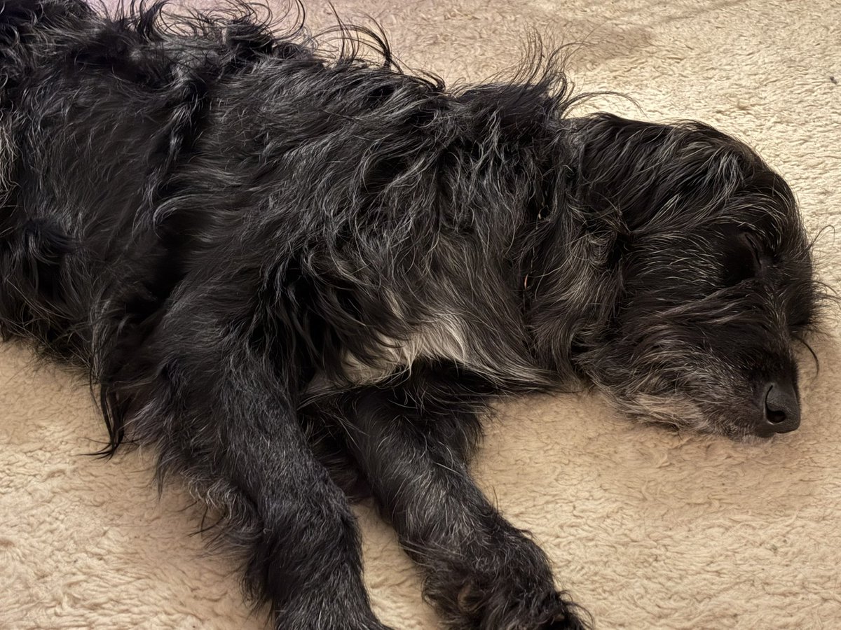 Monica_McClane 🤌 tweet media