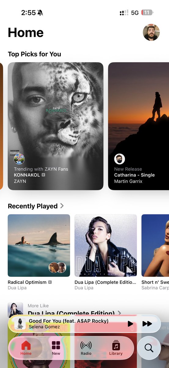 duo lipe tweet media