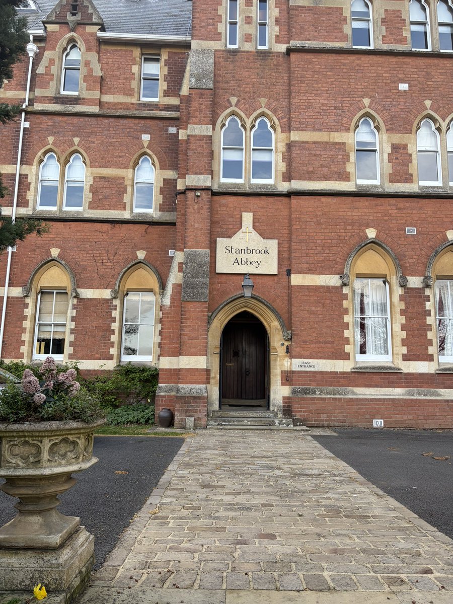 DonDiablo777 🐯🦍 tweet media