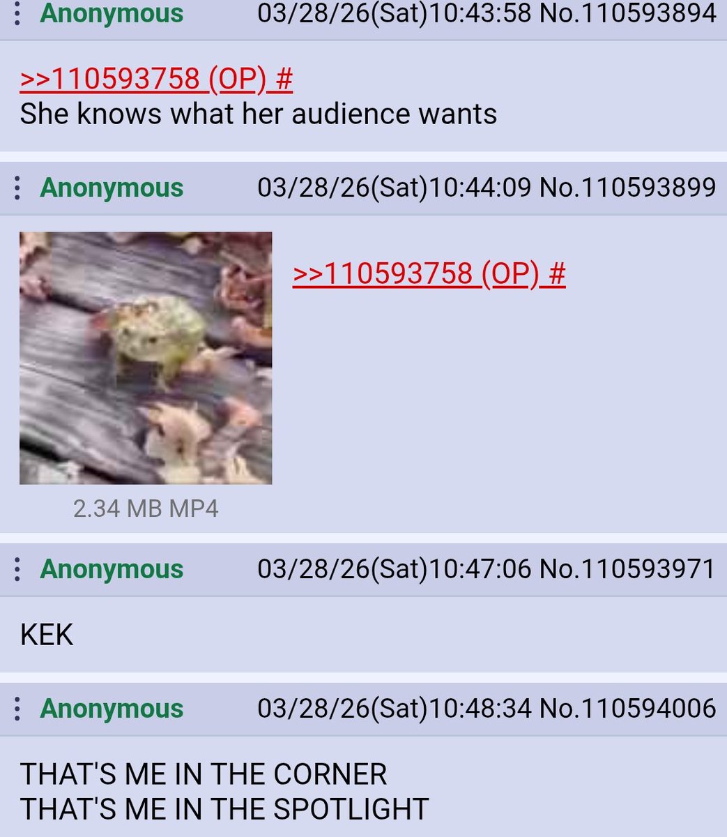 Screenshots from /vt/ 6: Return of the RRATS tweet media