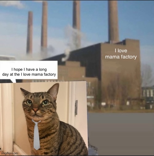 Luna🐾🐶 tweet media