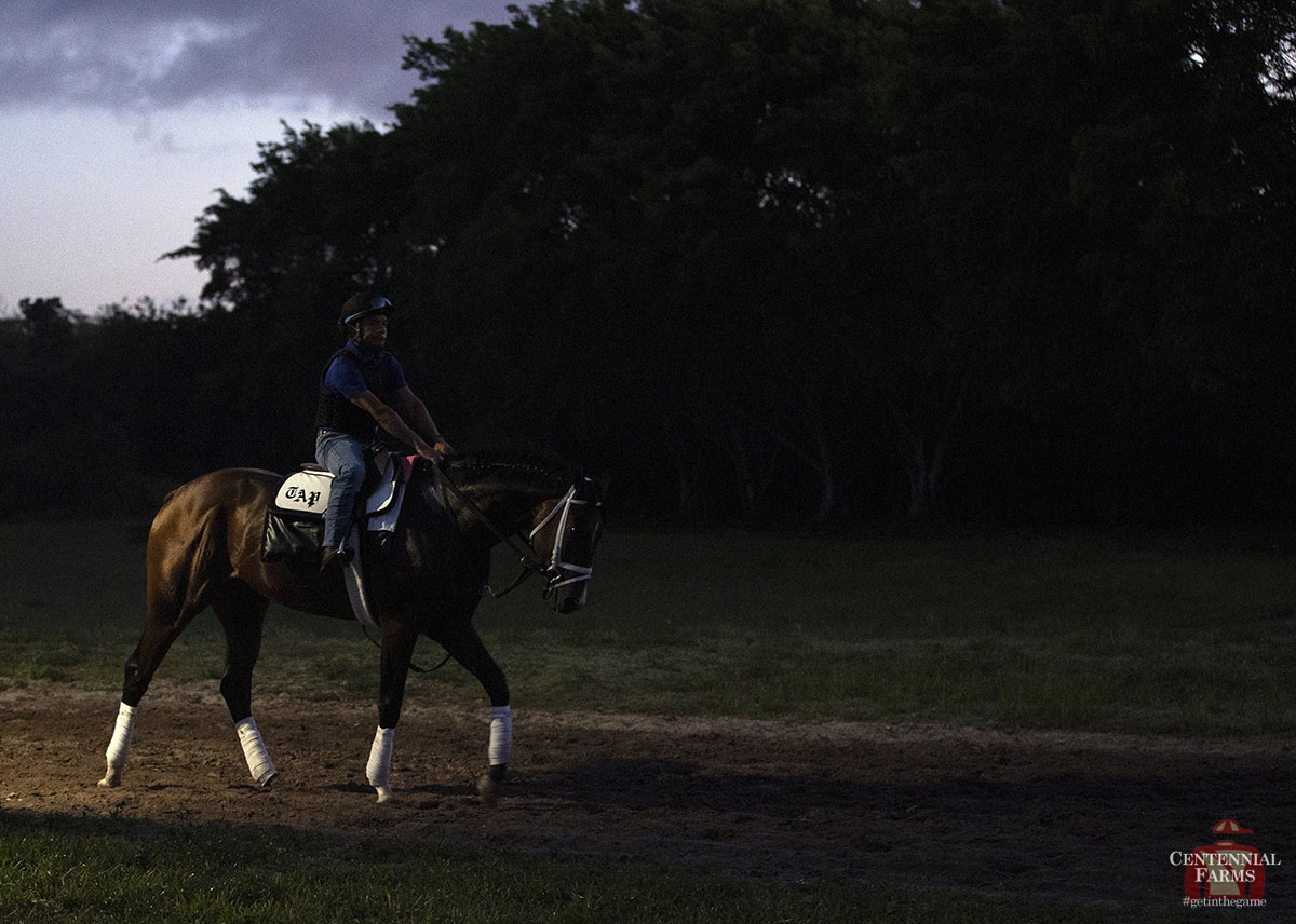 Centennial Farms tweet media