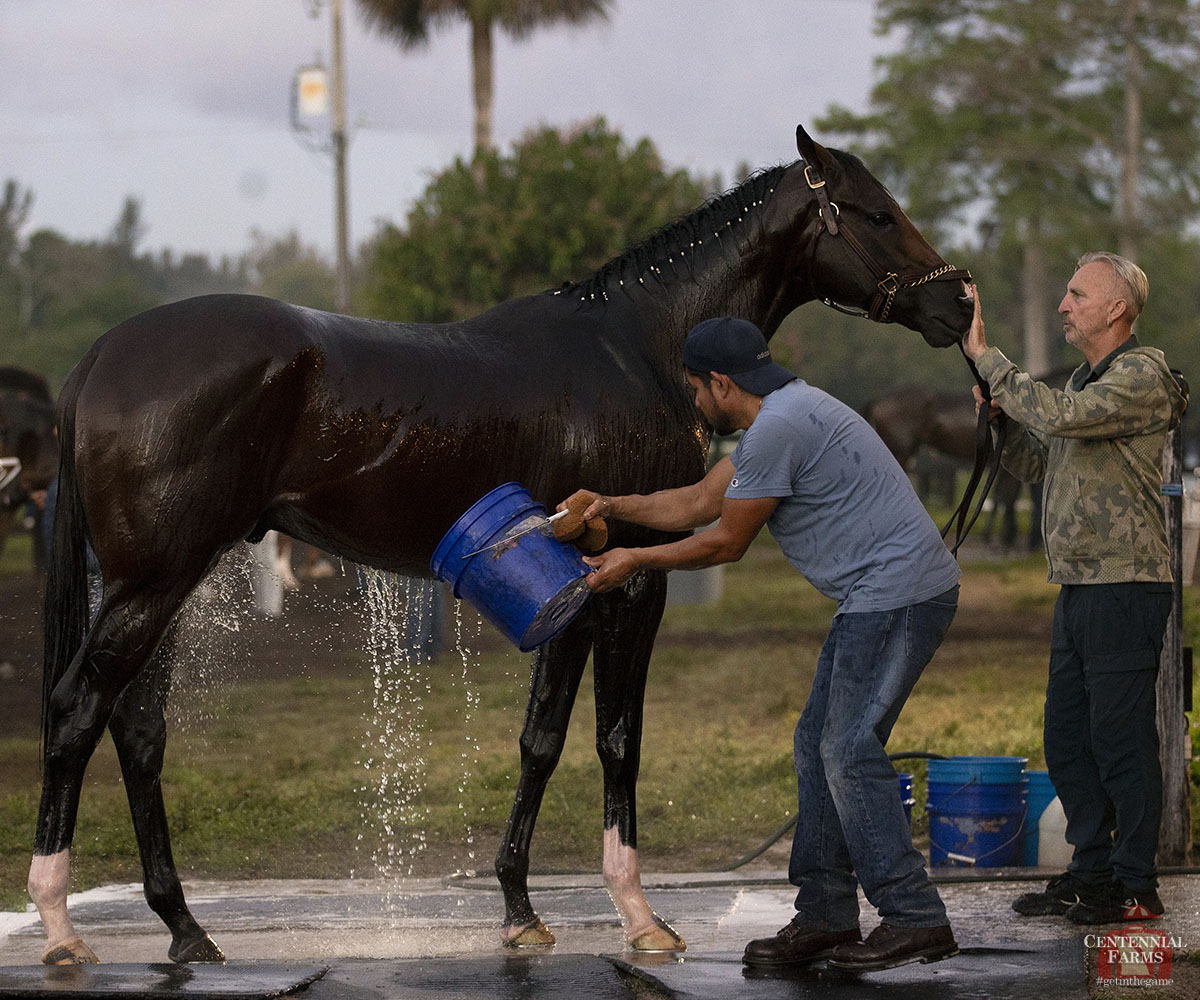 Centennial Farms tweet media
