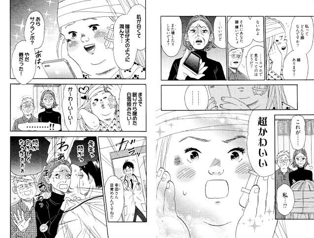 狸小路ぽん子（テルミンを弾く猫） tweet media