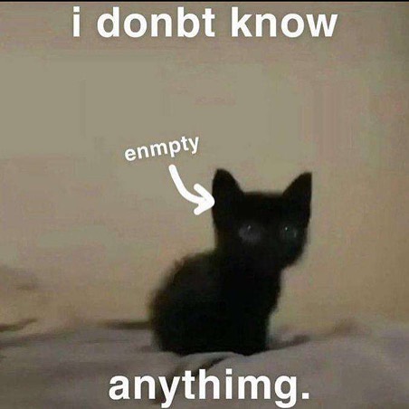 Punch Cat tweet media