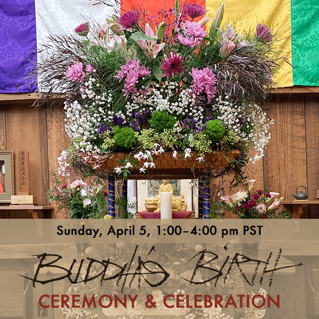 Sonoma Mountain Zen Center tweet media