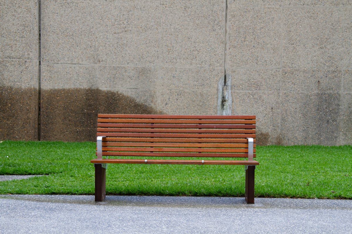 shamima mahamad tweet media