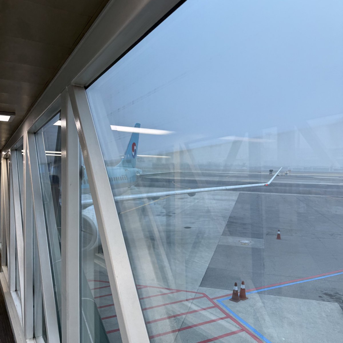 청량겨울몬💎 tweet media