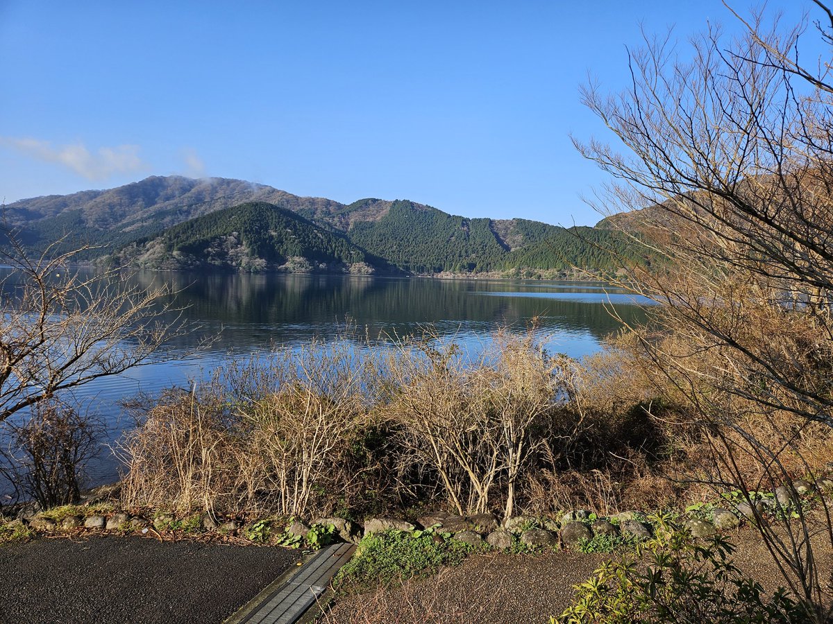 mmer547（はんままにあ） tweet media