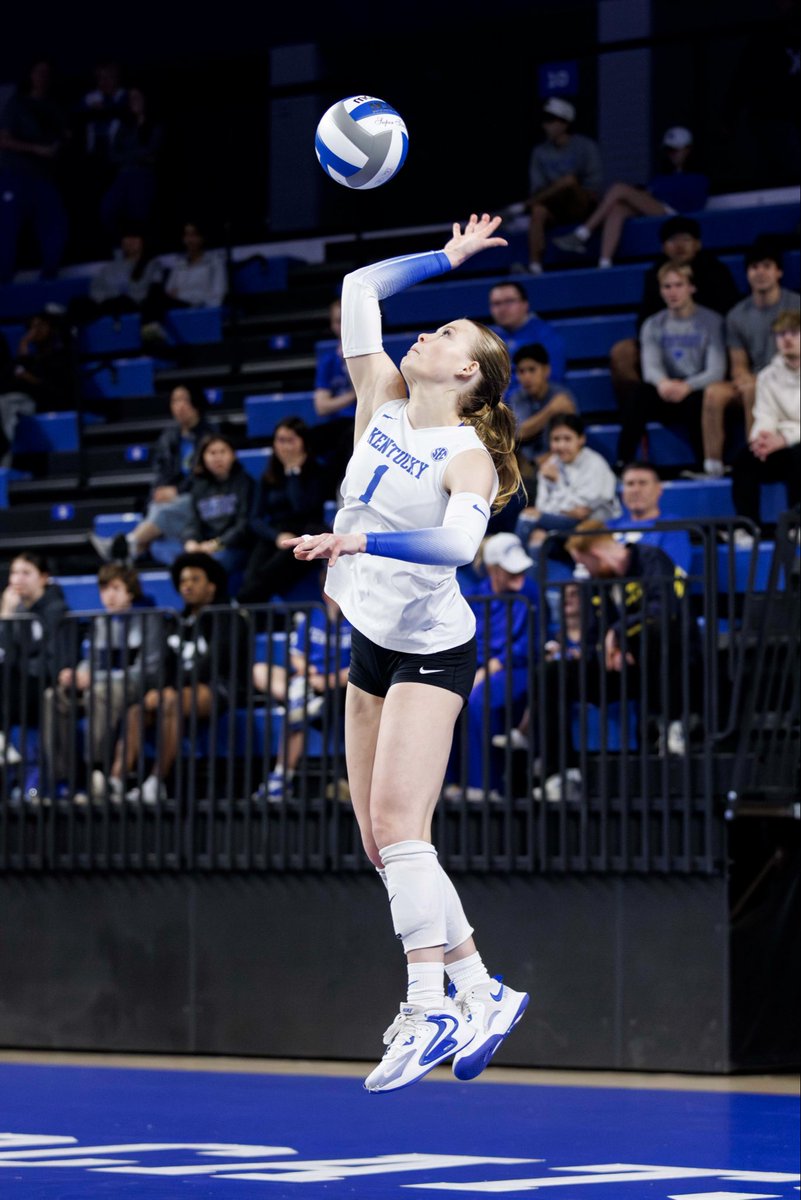 Kentucky Volleyball tweet media