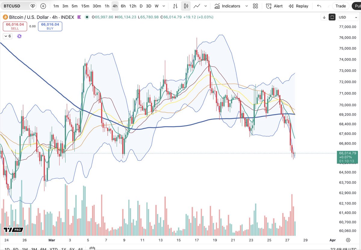 Cheds Trading tweet media